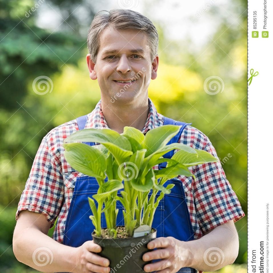 Rupashi Bangla Nursary (Kalamia Bazar, Bakolia,)