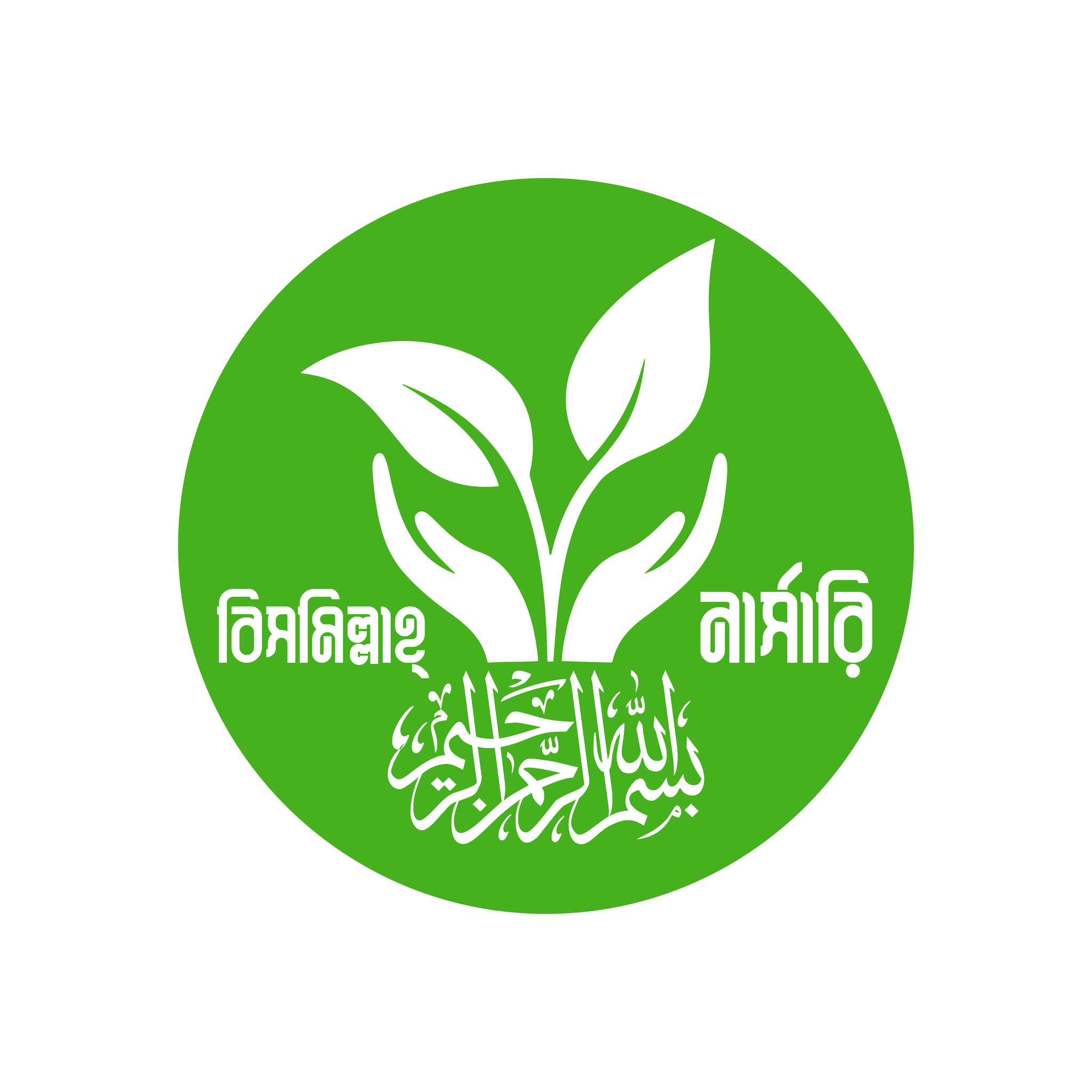 Bismillah Nursery - বিসমিল্লাহ নার্সারি (Natore , Belgoreia, Natore)