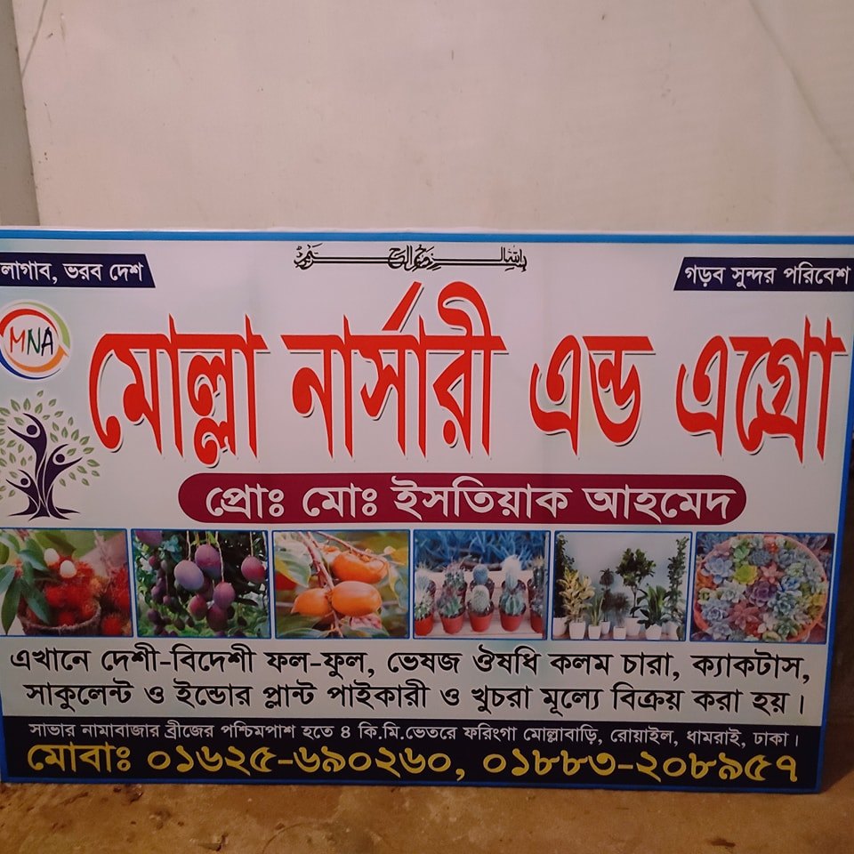 Molla Nursery and Agro