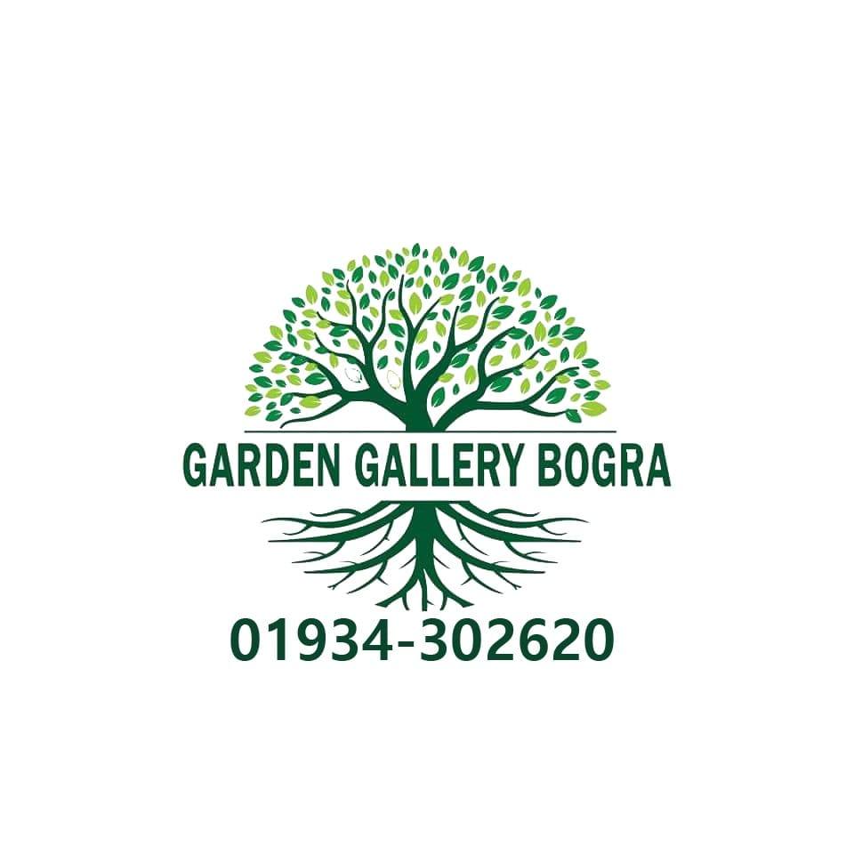 গার্ডেন গ্যালারি বগুড়া (Bogura, Bogura, Bangladesh)