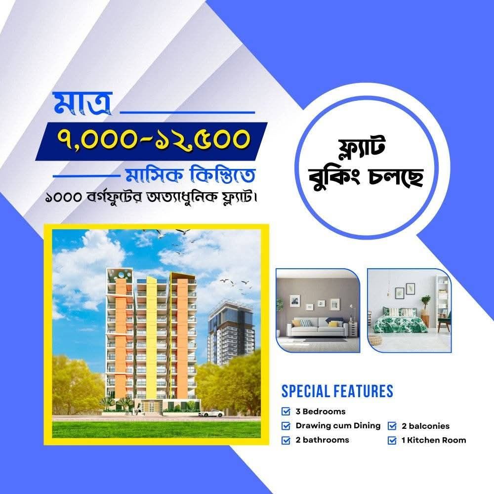 Insana Property & Real Estate