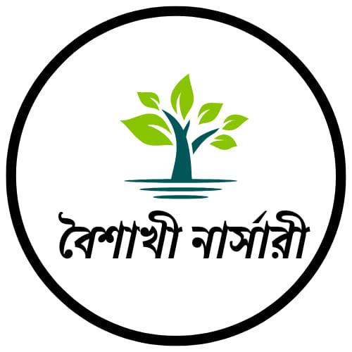 বৈশাখী নার্সারী - Boishakhi nursery (Puran Bogra, Rajshahi Division)
