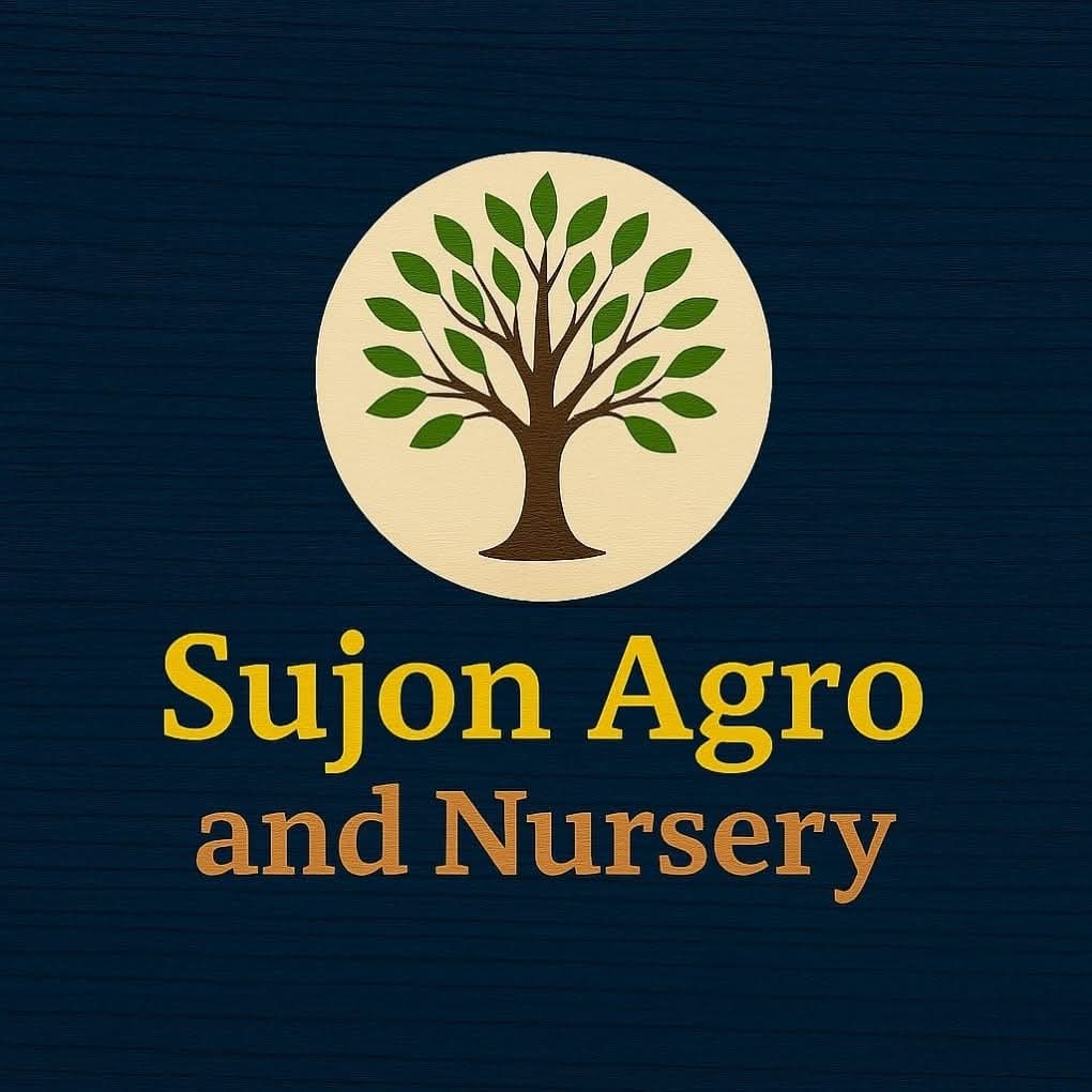 Sujon egro and Nursery