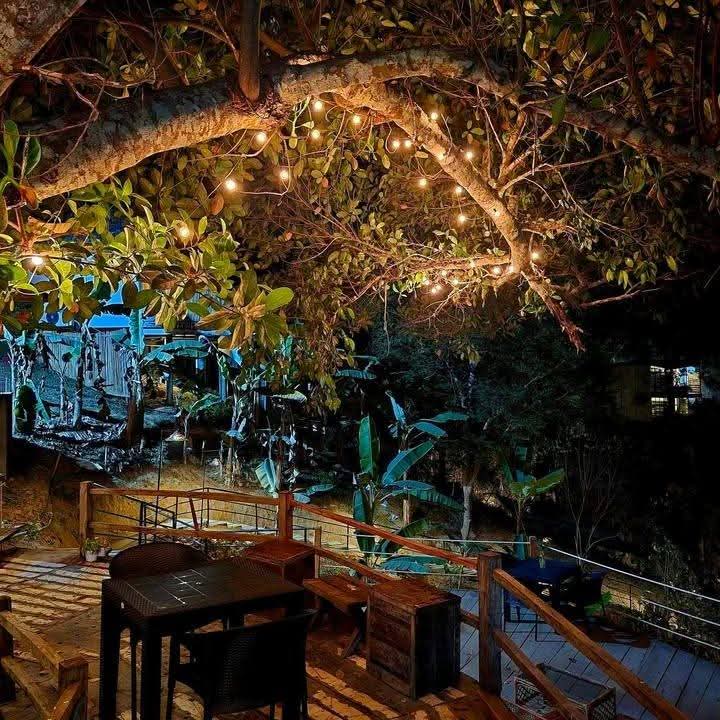 Backyard Resort (Moulvibazar)