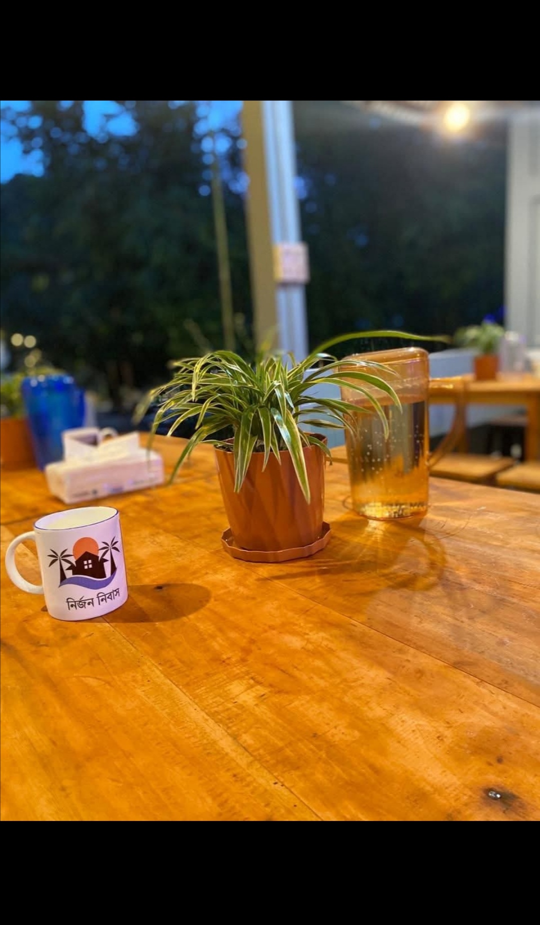 নির্জন নিবাস ইকো রিসোর্ট(শ্রীমঙ্গল)