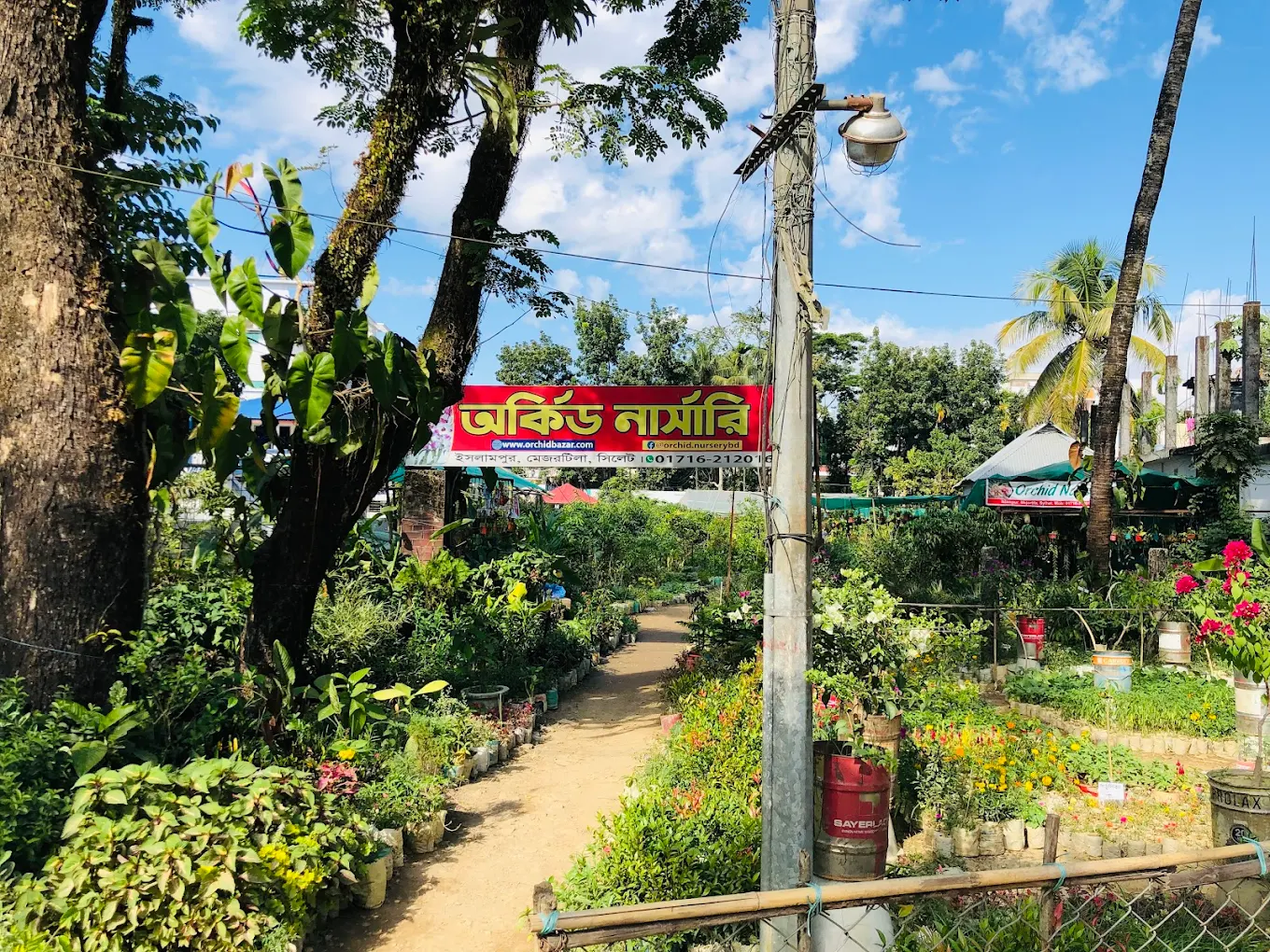 অর্কিড নার্সারি