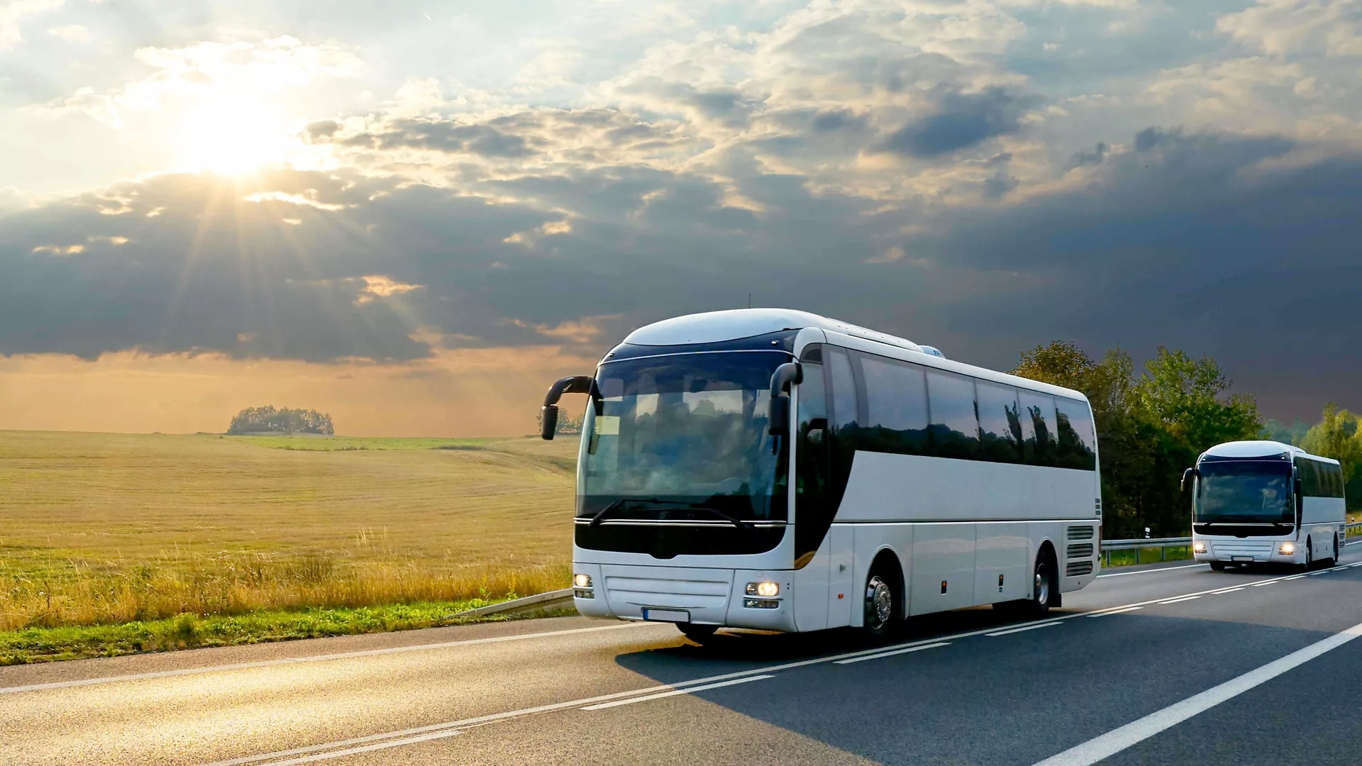 Bus